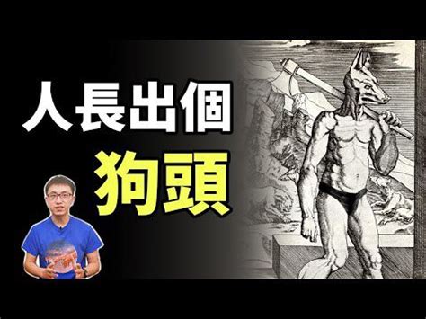 狗人傳說|世界各國的狗頭人傳說：東西方狗頭人有什麼區別？狗。